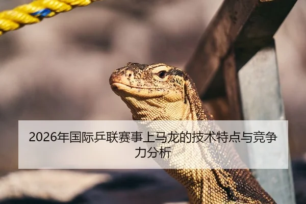 2026年国际乒联赛事上马龙的技术特点与竞争力分析