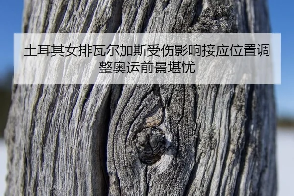 tu-er-qi-nv-pai-wa-er-jia-si-shou-shang-ying-xiang-jie-ying-wei-zhi-tiao-zheng-ao-yun-qian-jing-kan-you-2-738.jpg